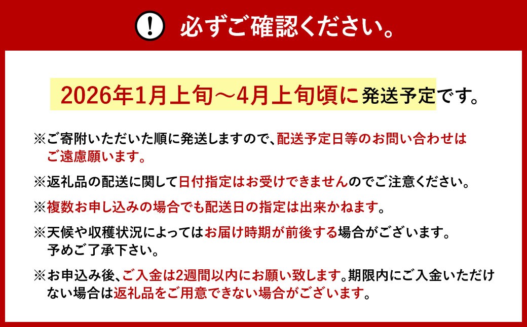 福岡県産 あまおう 約280g×2パック