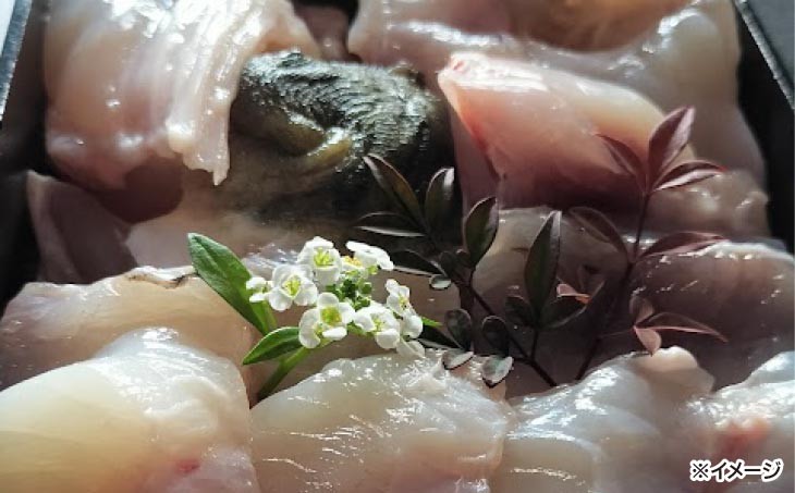 熟成とらふぐ【冬の王】