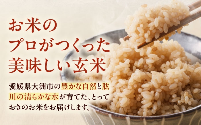あきたこまち 5キロ 米 新米 令和7年 産地直送 玄米 お米 ご飯 おにぎり ごはん 白米 和食 おコメ 日本食 おこめ 国産