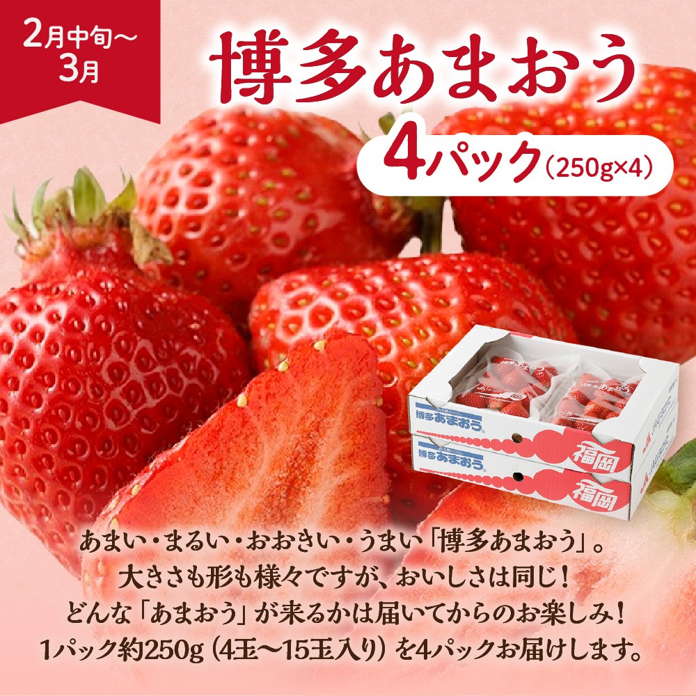 【定期便/年4回】ＪＡむなかた厳選！人気のフルーツ定期便