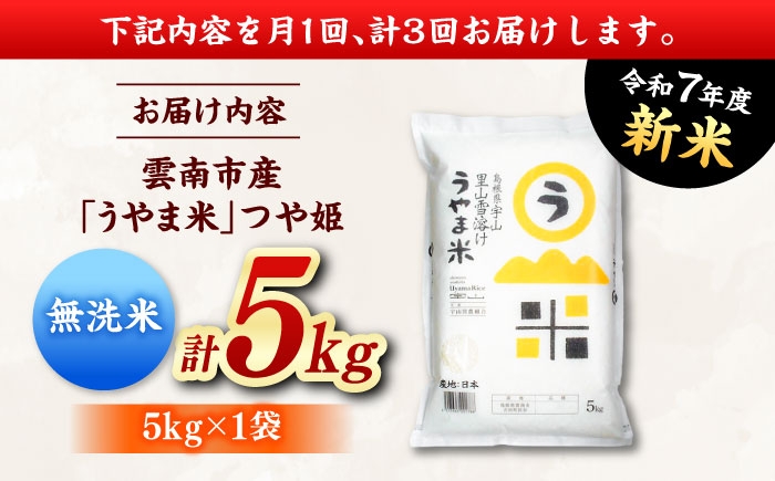 無洗米 新米 コメ つや姫 白米 5キロ 定期便