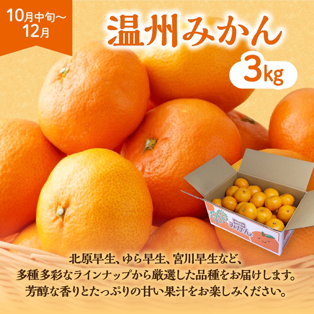 【定期便/年4回】ＪＡむなかた厳選！人気のフルーツ定期便