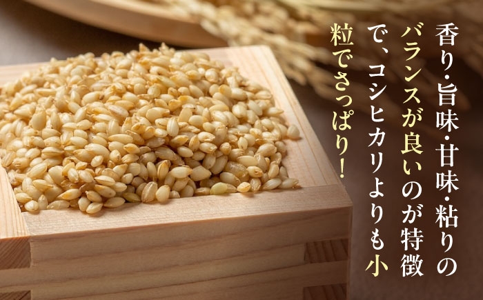 あきたこまち 5キロ 米 新米 令和7年 産地直送 玄米 お米 ご飯 おにぎり ごはん 白米 和食 おコメ 日本食 おこめ 国産
