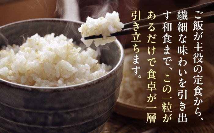 あきたこまち 10キロ 米 新米 令和7年 産地直送 玄米 お米 ご飯 おにぎり ごはん 白米 和食 おコメ 日本食 おこめ