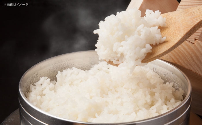 無洗米 新米 ブランド米 コメ 白米