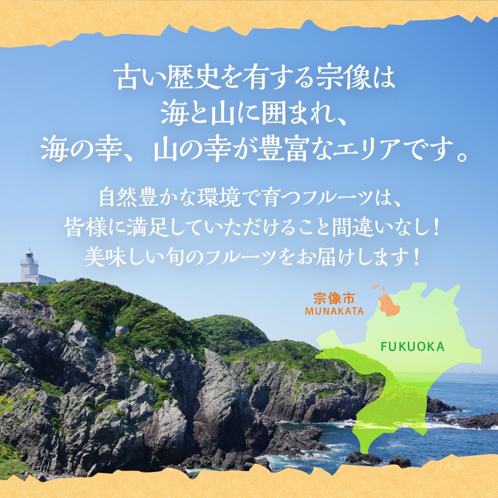 【定期便/年4回】ＪＡむなかた厳選！人気のフルーツ定期便