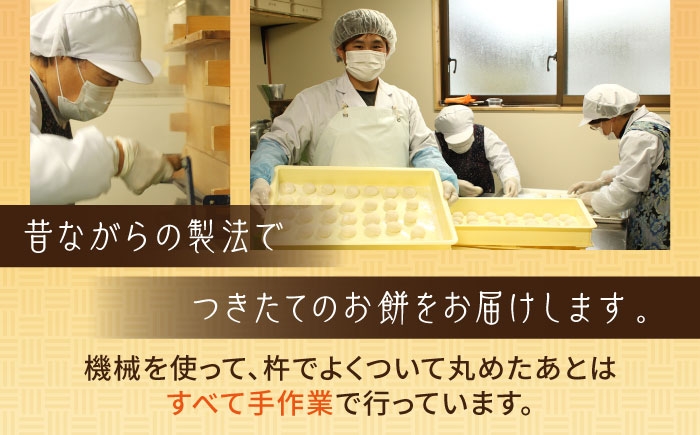 もち 餅 生もち 杵つき 正月 おすすめ 人気 朝ごはん おもち