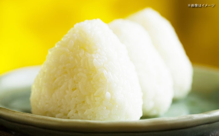 無洗米 新米 ブランド米 コメ 白米