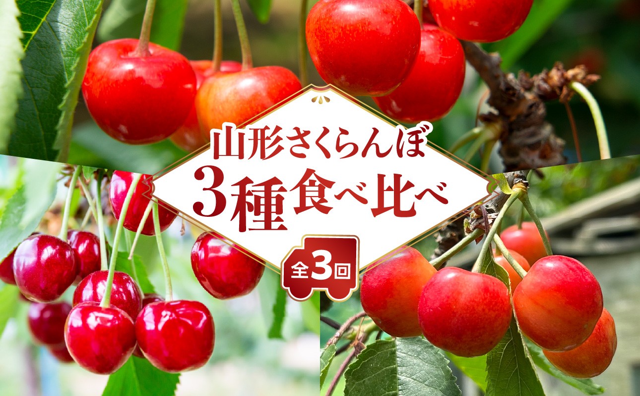 山形さくらんぼ ３種食べ比べ定期便【定期便全３回】
