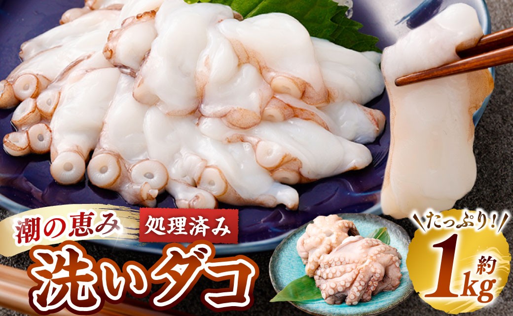 潮の恵み 洗いだこ 約1kg