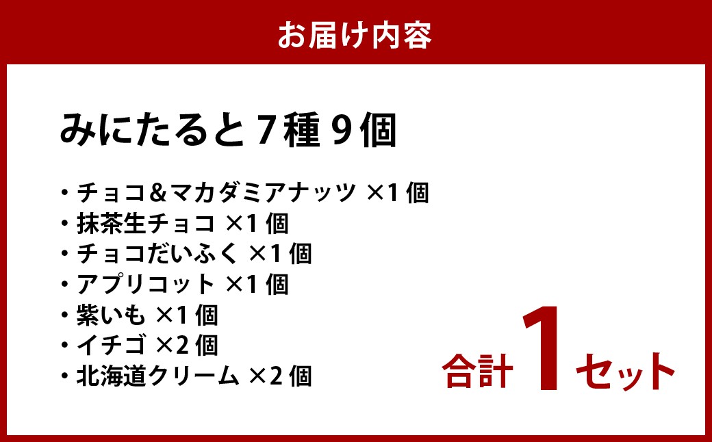 ねこみにタルト9個入り