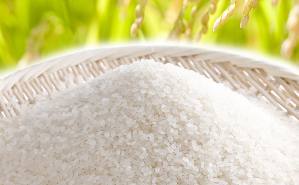 【6ヶ月定期便】【令和7年産】たとみ農園のお米ヒノヒカリ 2kg