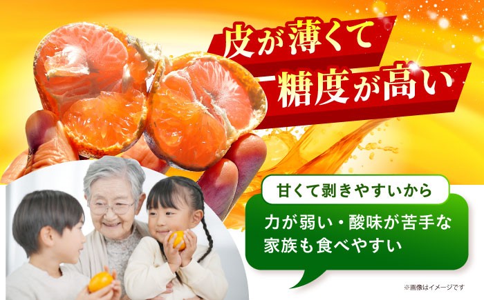 佐賀みかん （さが美人）5kg  [HAM086] みかん 佐賀みかん 温州みかん さが美人 佐賀県 ミカン 果物 フルーツ