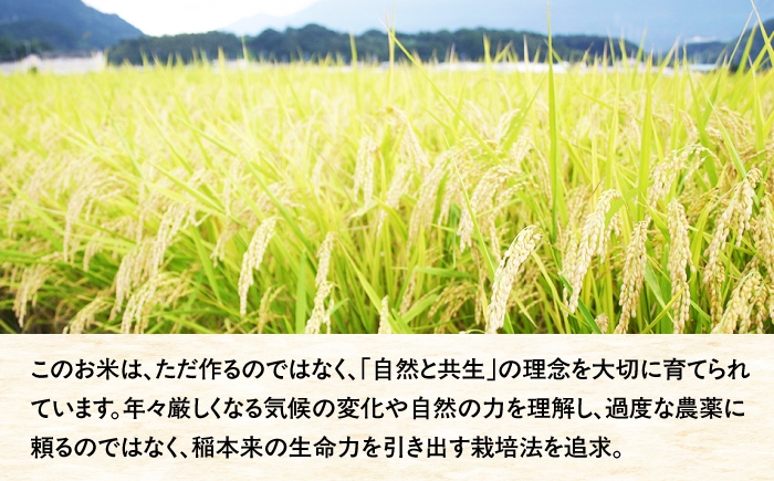 夢つくし 元気つくし 精米 10kg 福岡県産米 米 お米 白米 米 精米10kg 精米 ブランド米 精米