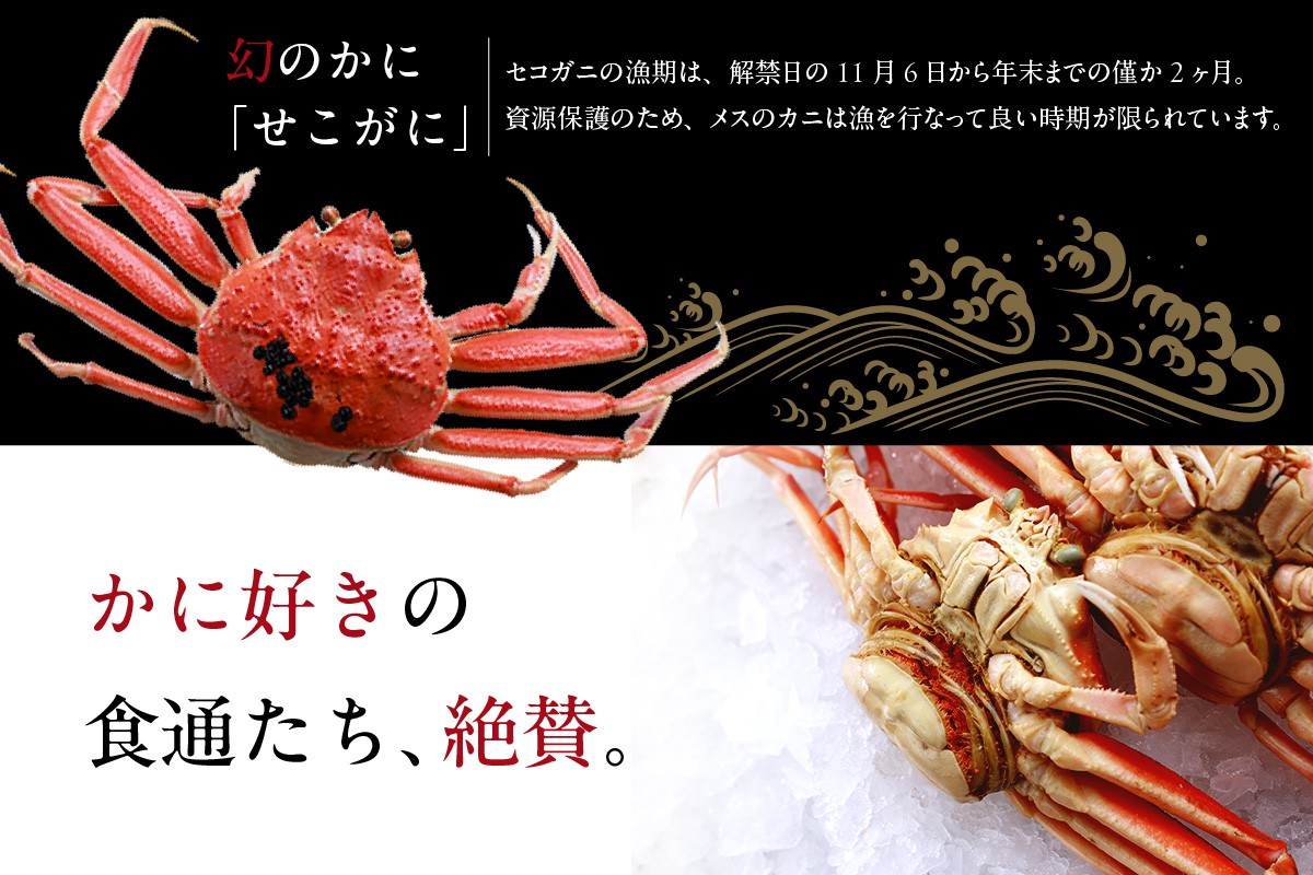 松葉ガニのメス「セコガニ」の漁期はたった2ヶ月。