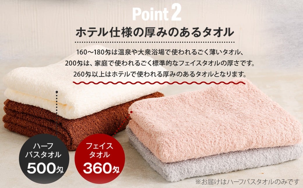 ＜選べるカラー＞ 泉州タオル ホテルスタイル タオルセット ｜ ハーフバスタオル 10枚