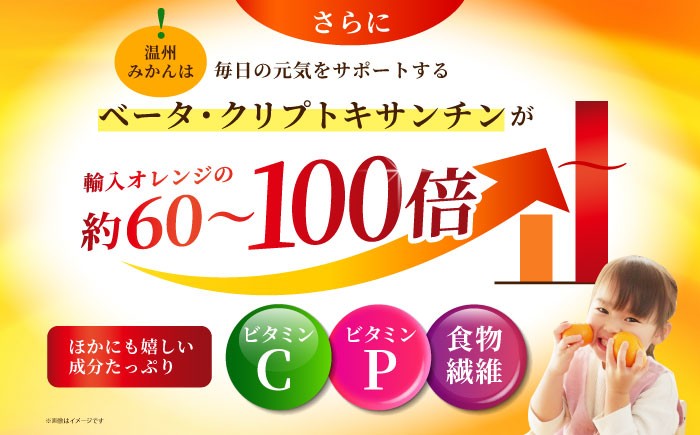 佐賀みかん （さが美人）5kg  [HAM086] みかん 佐賀みかん 温州みかん さが美人 佐賀県 ミカン 果物 フルーツ