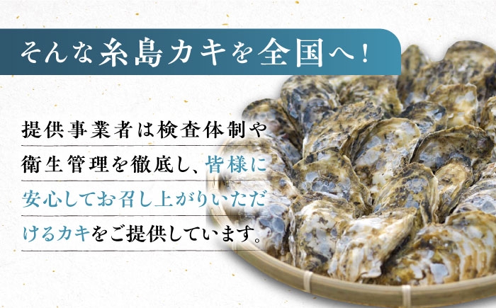 牡蠣 カキ 生ガキ 生牡蠣 福岡県産 糸島カキ 殻付き