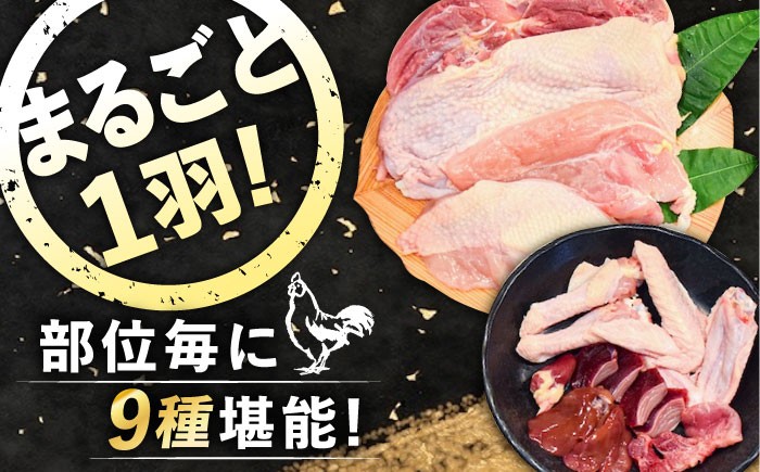 鶏肉 精肉 鳥肉 とり肉 とりにく チキン 鳥 もも むね モモ ムネ 若鶏