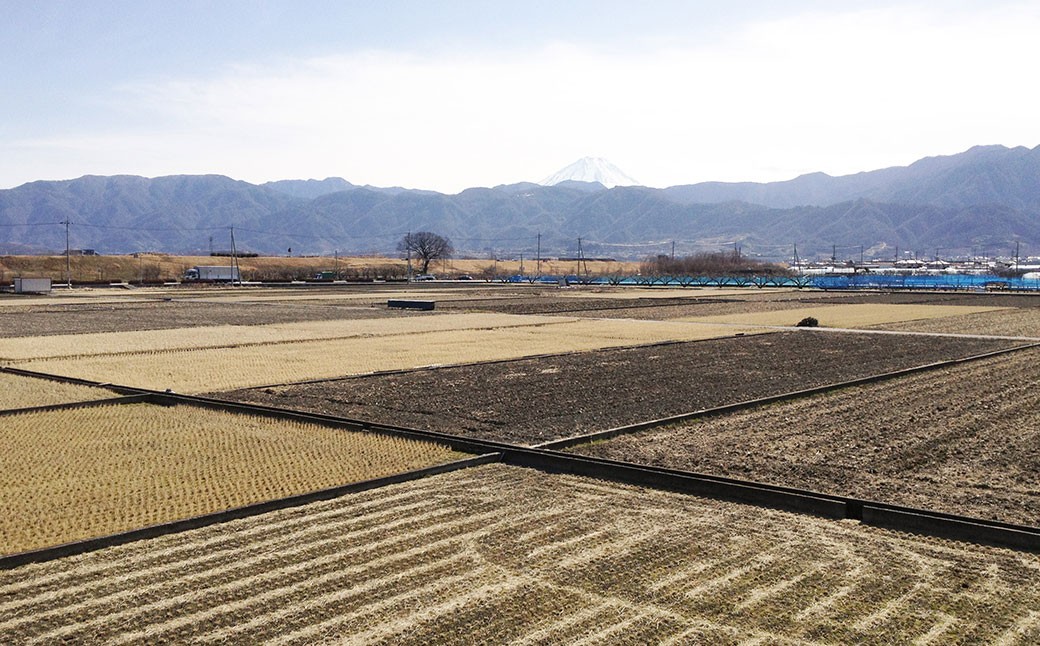 【令和7年産】たとみ農園のお米ヒノヒカリ キューブ真空パック詰合せ 300g×6個