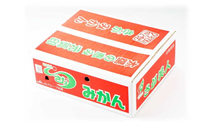 佐賀みかん （さが美人）5kg  [HAM086] みかん 佐賀みかん 温州みかん さが美人 佐賀県 ミカン 果物 フルーツ