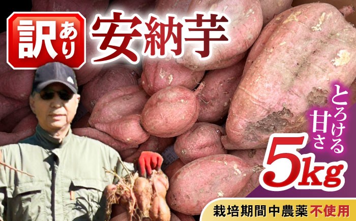 栽培期間中農薬不使用さつまいも「安納芋」 5kg