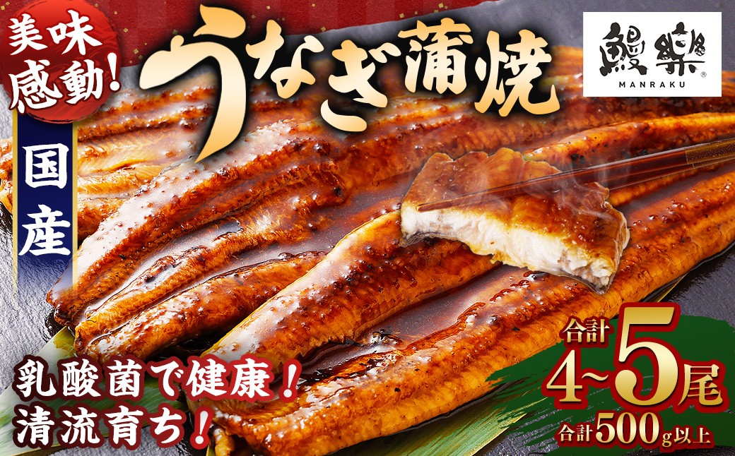 ＜うなぎ蒲焼 4～5尾 計500g以上＞