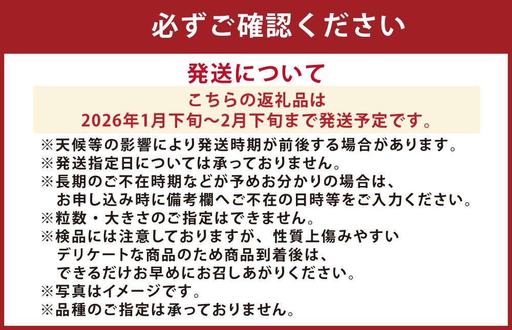 『まるで果物の王様！贅沢メロン』 2玉セット 