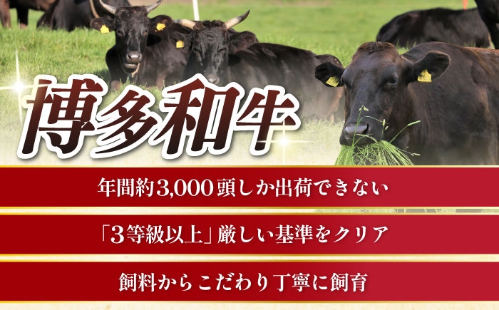 牛肉 肉 博多和牛 ギフト 贈答 赤身 薄切り