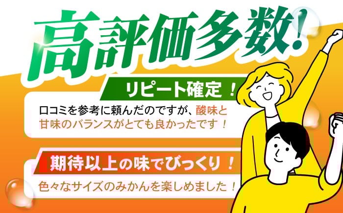 伊木力みかん 家庭用みかん 5kg みかん ミカン 蜜柑 フルーツ 果物
