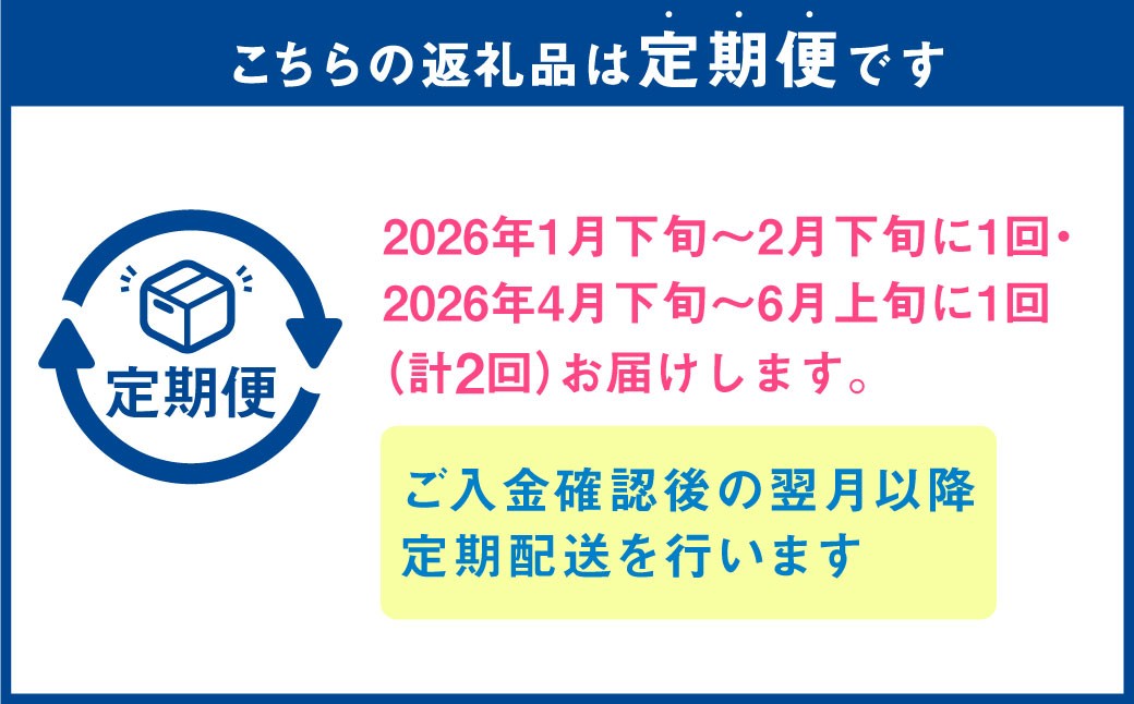 【年2回定期便】『まるで果物の王様！贅沢メロン』 2玉セット×2回 合計4玉