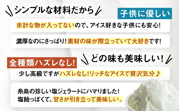 アイス アイスクリーム ジェラート カップ 10個（ ピスタチオ 塩 抹茶 ビターチョコ キャラメル ）