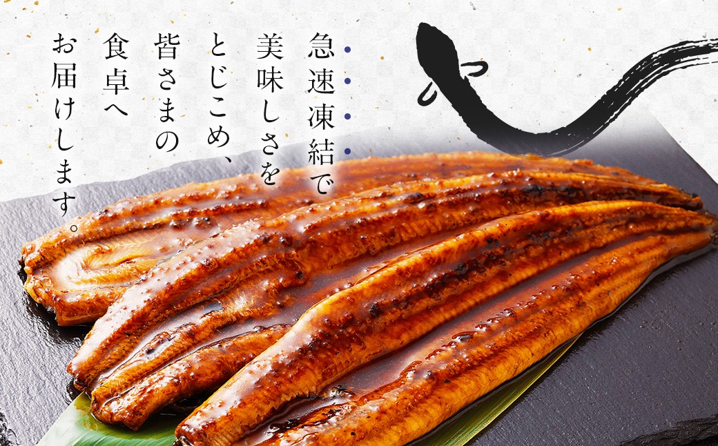 ＜うなぎ蒲焼 4～5尾 計500g以上＞
