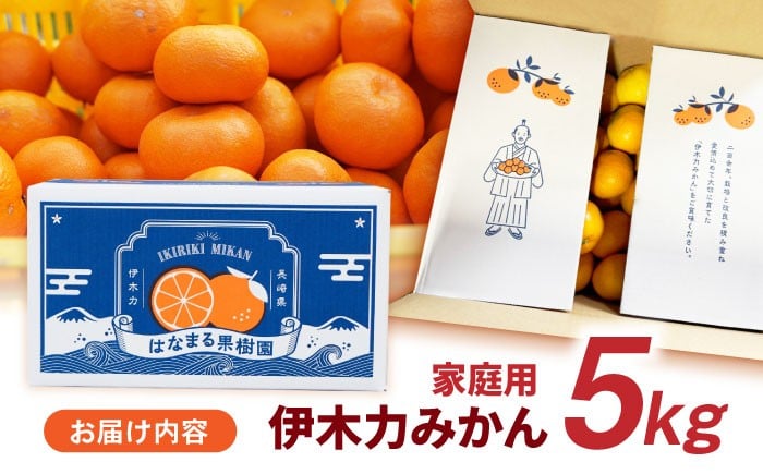 伊木力みかん 家庭用みかん 5kg みかん ミカン 蜜柑 フルーツ 果物