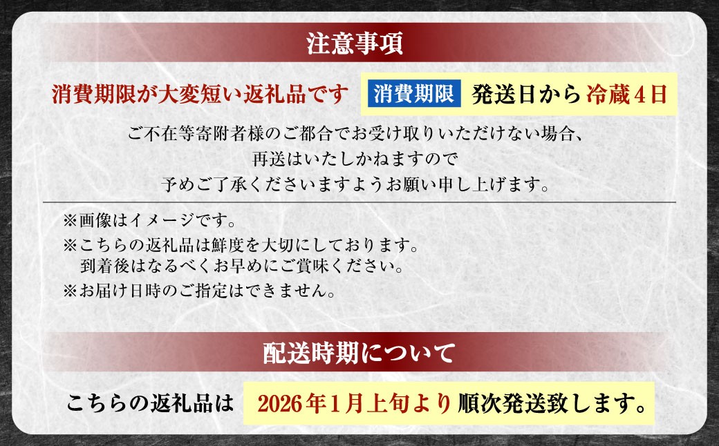 坂越かき 殻付き 22個 【ナイフなし】