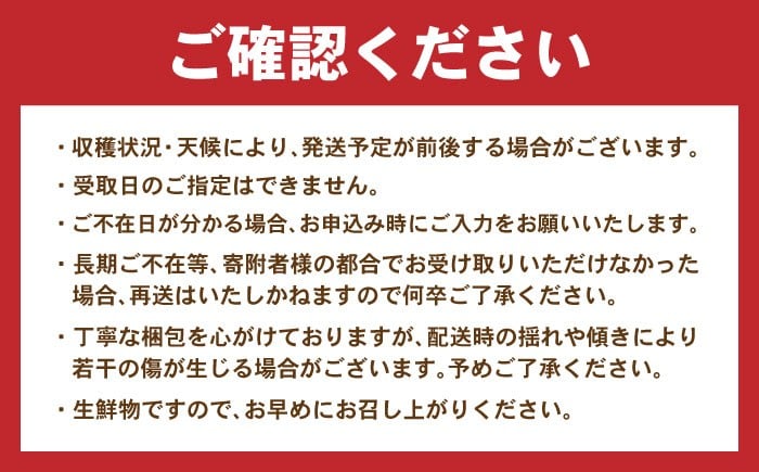 伊木力みかん 家庭用みかん 5kg みかん ミカン 蜜柑 フルーツ 果物