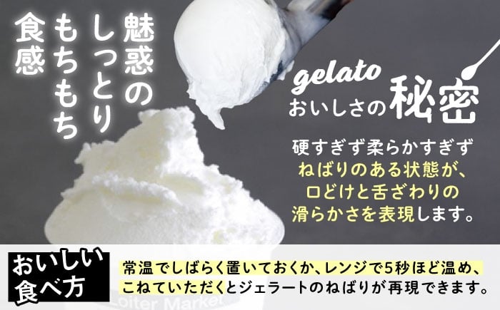 アイス アイスクリーム ジェラート カップ 10個（ ピスタチオ 塩 抹茶 ビターチョコ キャラメル ）