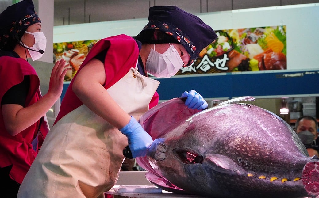 【返礼品なし】 宇和島水産高校 魅Can部 （水産食品研究部）への応援寄附