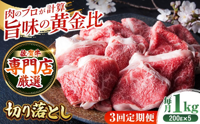 佐賀牛切り落とし 200g×5パック（モモ・ウデ・バラのミックス）【全3回定期便】