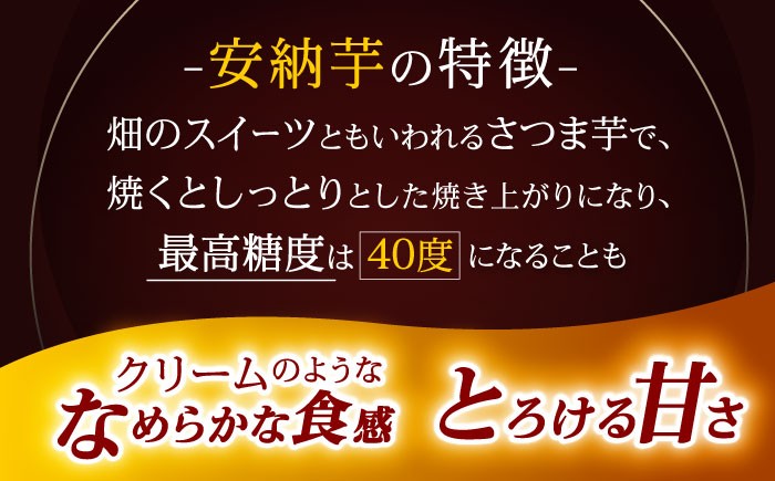 栽培期間中農薬不使用さつまいも「安納芋」 5kg