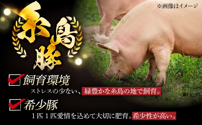 国産 豚肉 とんかつ 肩ロース 詰め合わせ しゃぶしゃぶ