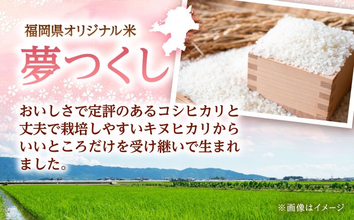 夢つくし パックご飯 計48パック (各200g)