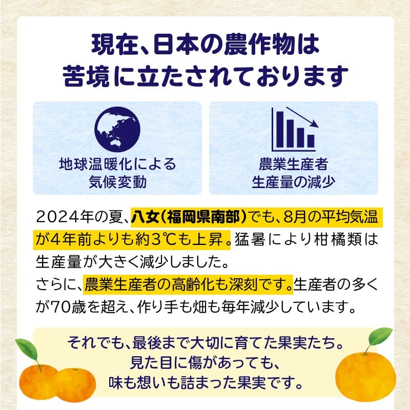 キウイ ゴールドキウイ もったいな果 フルーティー まろやか 飲むタイプ 栄養補給