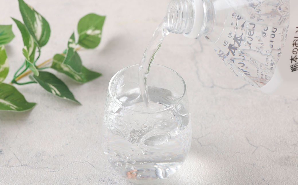 熊本のおいしいお水 阿蘇のメイスイ 2L×12本（2ケース）