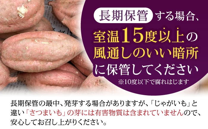 いも イモ 芋 さつまいも さつま芋 サツマイモ 安納芋 スイーツ すいーつ 芋スイーツ いもスイーツ