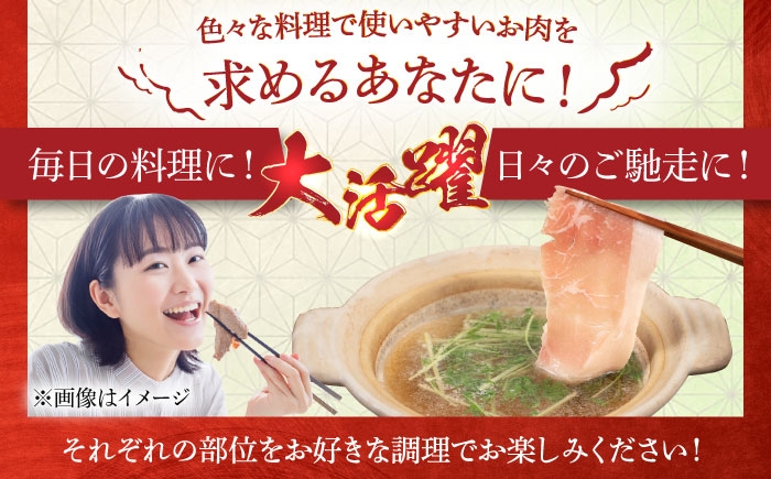 国産 豚肉 とんかつ 肩ロース 詰め合わせ しゃぶしゃぶ