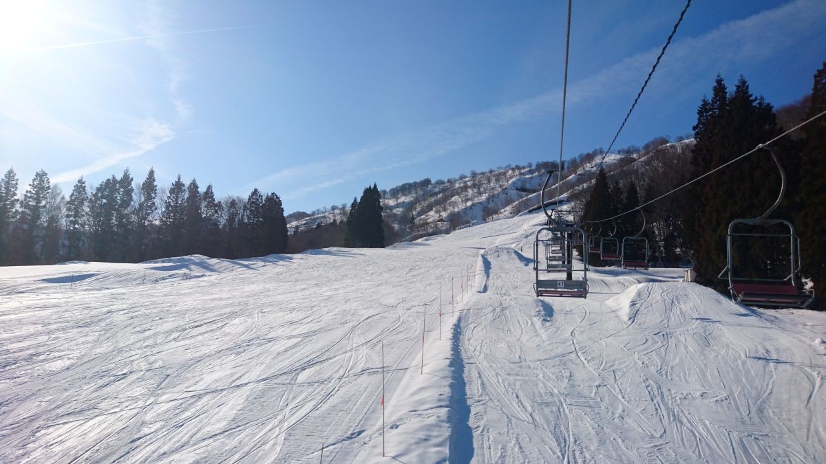 初心者向けファミリーコース（左側）