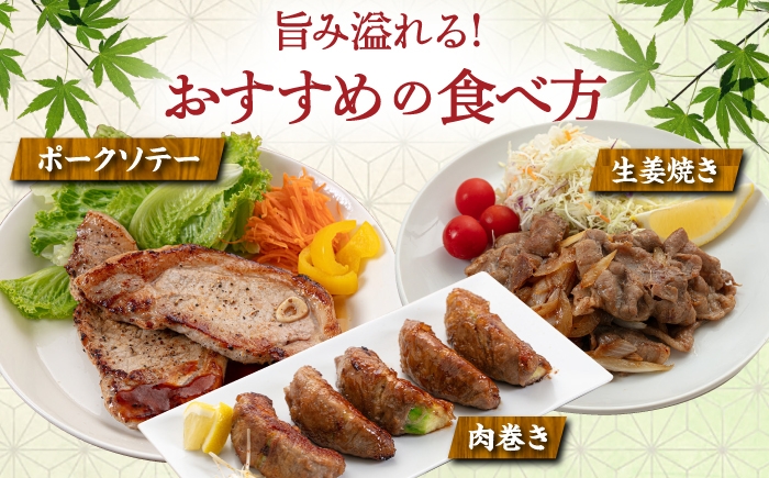 豚肉 セット スライス しゃぶしゃぶ ロース トンカツ スペアリブ こま切れ