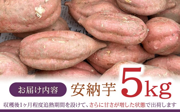 いも イモ 芋 さつまいも さつま芋 サツマイモ 安納芋 スイーツ すいーつ 芋スイーツ いもスイーツ