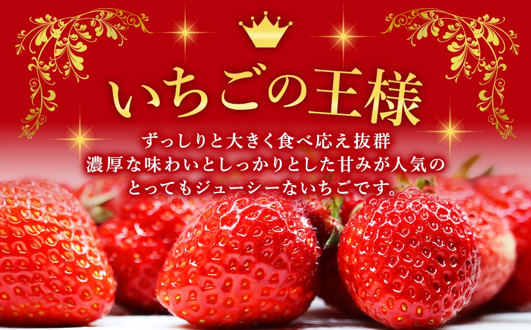 【数量限定】【2026年2月上旬～4月上旬発送予定】福岡県産 あまおう 270g×2パック